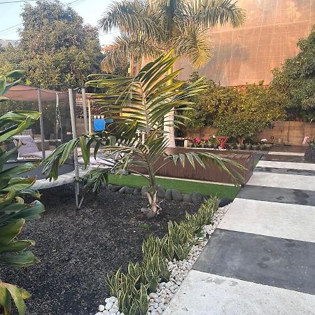 Villa Mamita 로스 야노스 데 아리다네 외부 사진