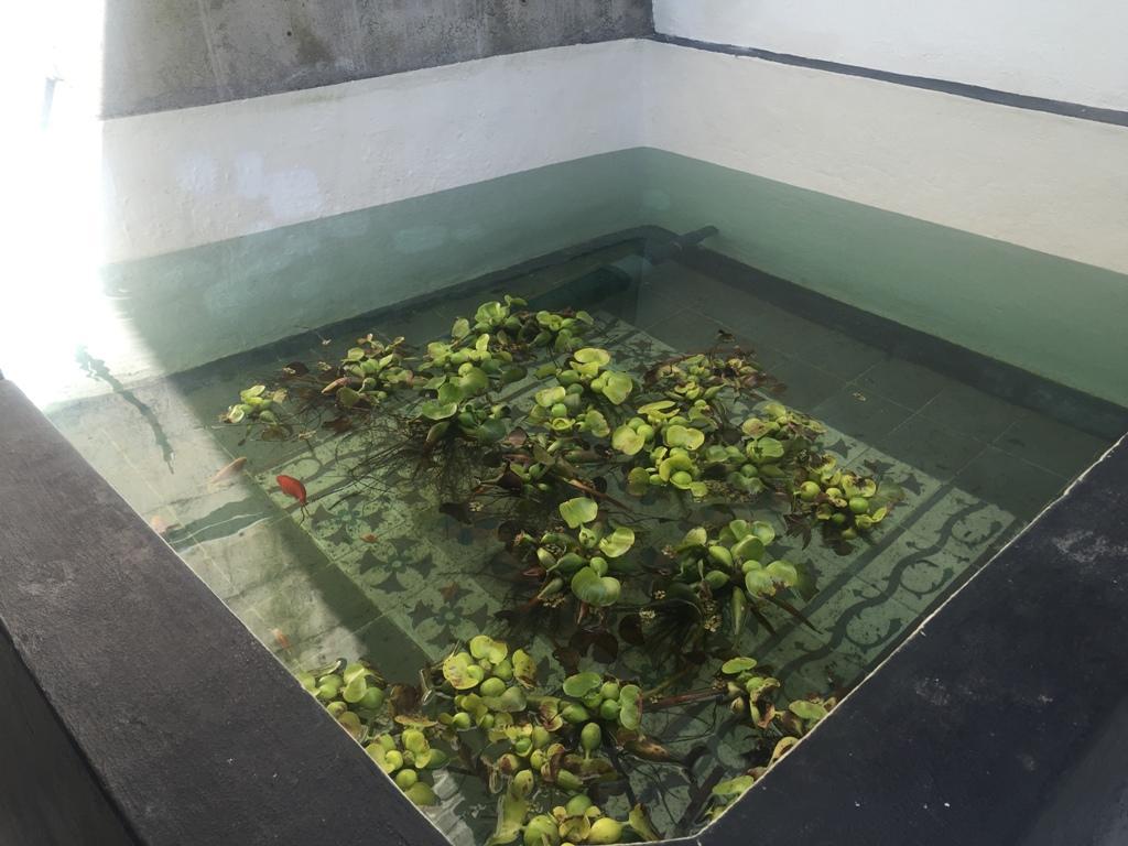 Villa Mamita 로스 야노스 데 아리다네 외부 사진